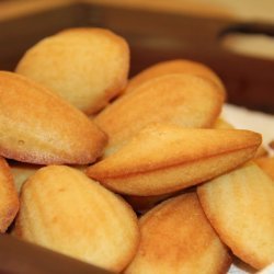 Lemon Madeleines