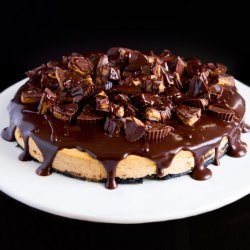 Peanut Butter Cup Cheesecake