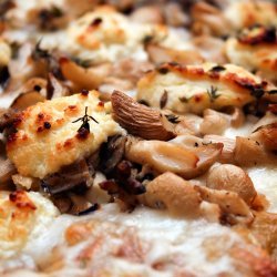Mixed Mushroom Pizza