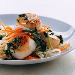 Scallops With Cilantro