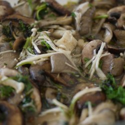 Wild Mushroom Saute