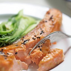 Miso Glazed Salmon