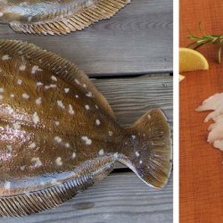 Baked Flounder Parmesan