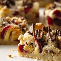 Fruit and Nut Bars