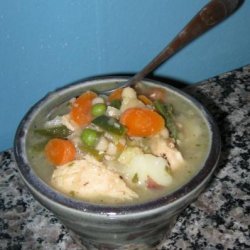 Vegetable Chicken Stew