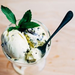 Mint Chocolate Chip Ice Cream