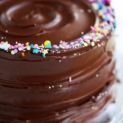 Double Chocolate Cake