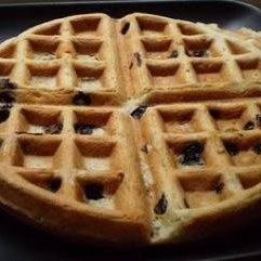 Whole Wheat Waffles