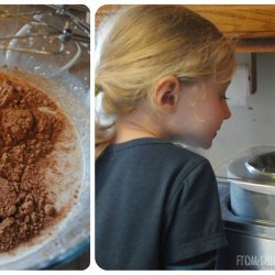 Easy Chocolate Peanut Butter Frozen Yogurt