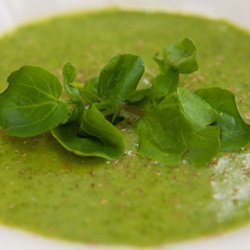 Watercress Soup