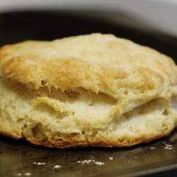 Baking Powder Biscuits