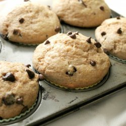 Whole Wheat Chocolate Chip Muffins