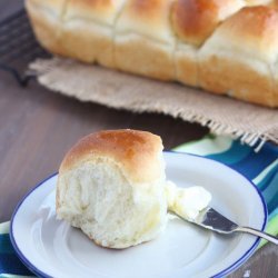 Tender Potato Rolls