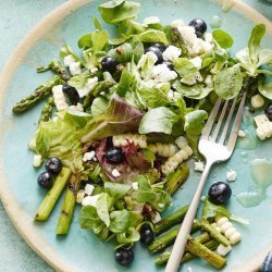 Grilled Asparagus Salad