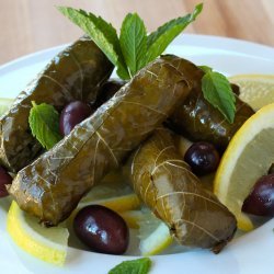 Stuffed Grape Leaves