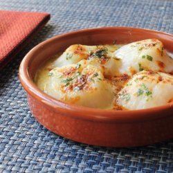 Broiled Scallop Gratin