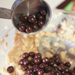 Blueberry Dumplings