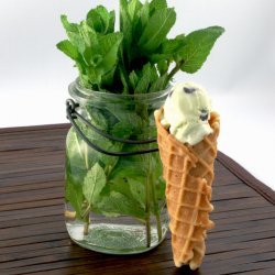 Mint-Chocolate Chip Ice Cream