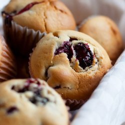 Blackberry Muffins