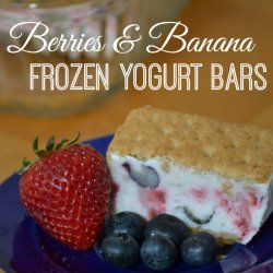 Banana Berry Frozen Yogurt