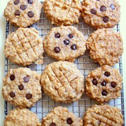 Peanut Oat Breakfast Cookies