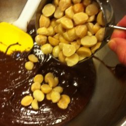 Macadamia Nut Brownies
