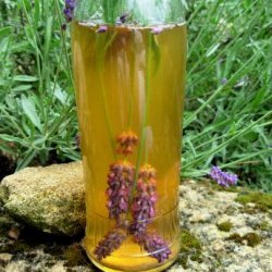Easy Homemade Lavender Scented and Infused Vinegar