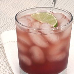 Elderberry Shrub