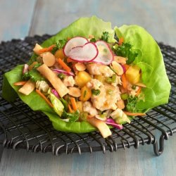 Asian Lettuce Wraps