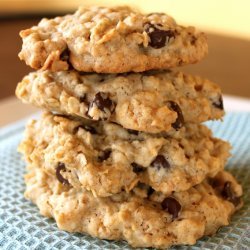 Oatmeal Chocolate Cookies