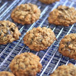 Chocolate Peanut Butter Banana Oatmeal Cookies