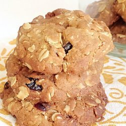 Oat Cookies