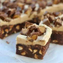 peanut butter chocolate brownies