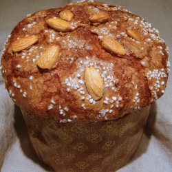 Rich Panettone