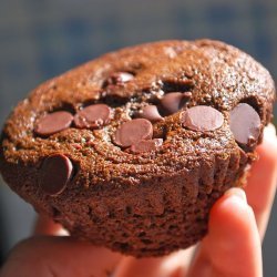 Double Chocolate Protein Muffins