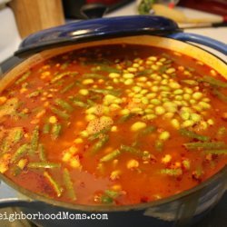 Vegetable Beef Soup