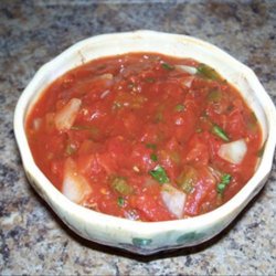 Blind Willyz Fire Roasted Chili Salsa 2