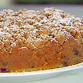 Blueberry Crumb Cake (Ina Garten)