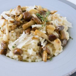 Mushroom Risotto