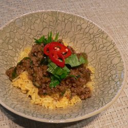 Curried Mince and Rice