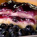 Lime Blueberry Tiramisu