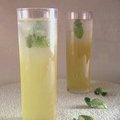 Lime-oncello Spritzers with Mint (Giada De Laurentiis)