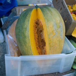 Trinidad Pumpkin