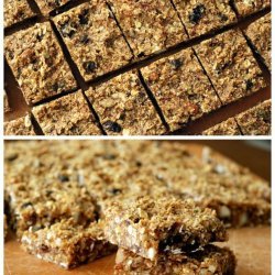 Oat Nut Energy Bars