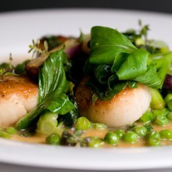 Wild Striped Bass with Thyme, Spring Peas, 25 Year Balsamic Vinegar, and Potato Pancake