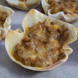 Taco Wonton Appetizers