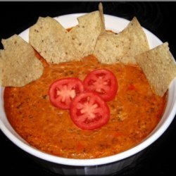 Warm Salsa Cheese Dip