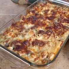 Turkey Tetrazzini