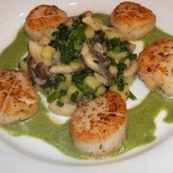 Seared Sea Scallops With A Watercress Truffle Coul...