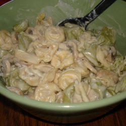 Tortellini With Mushroom-cheese Sauce